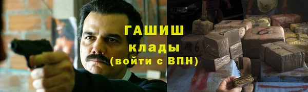 крисы Алзамай