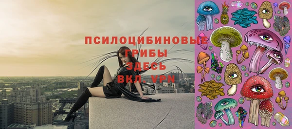 крисы Алзамай